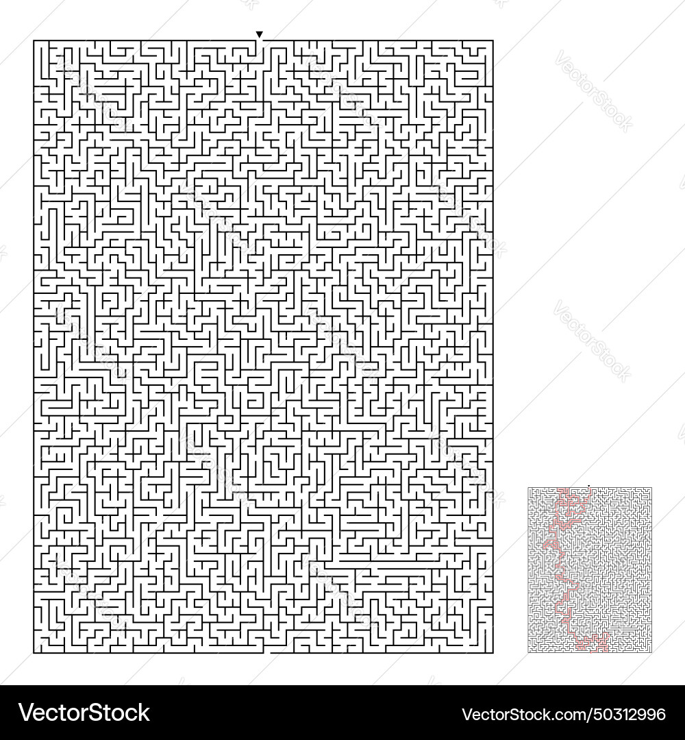 Difficult rectangular maze Difficult rectangular maze vector image