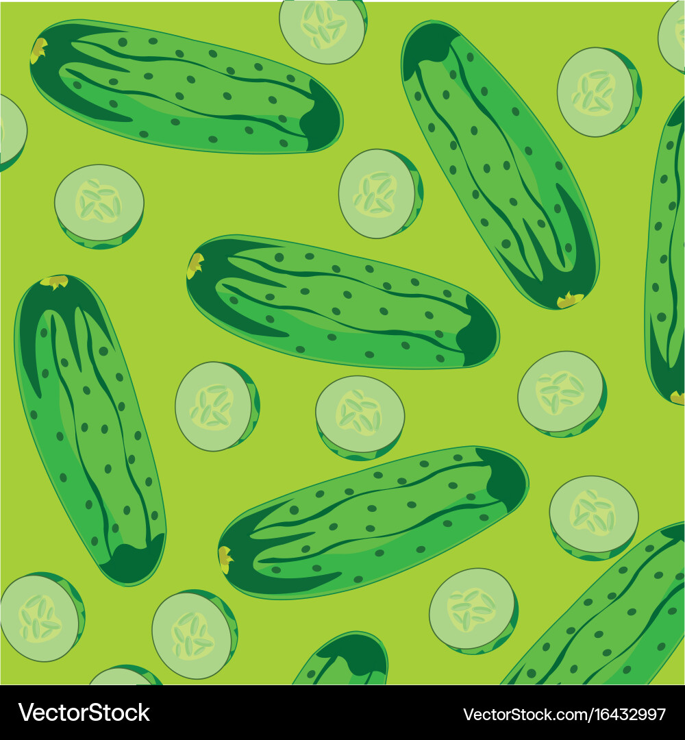 Background from cucumber Vector Image