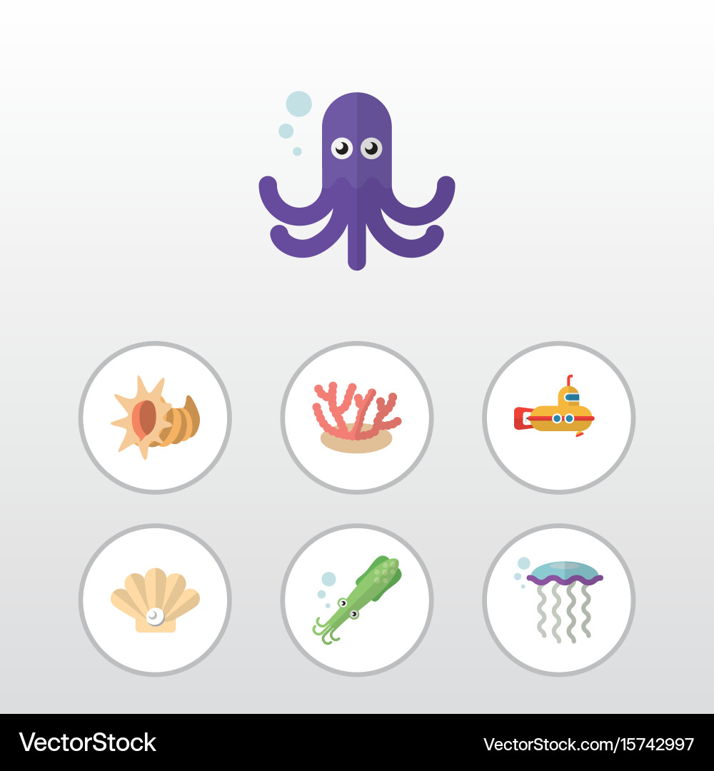Flat icon nature set of algae seashell conch Vector Image