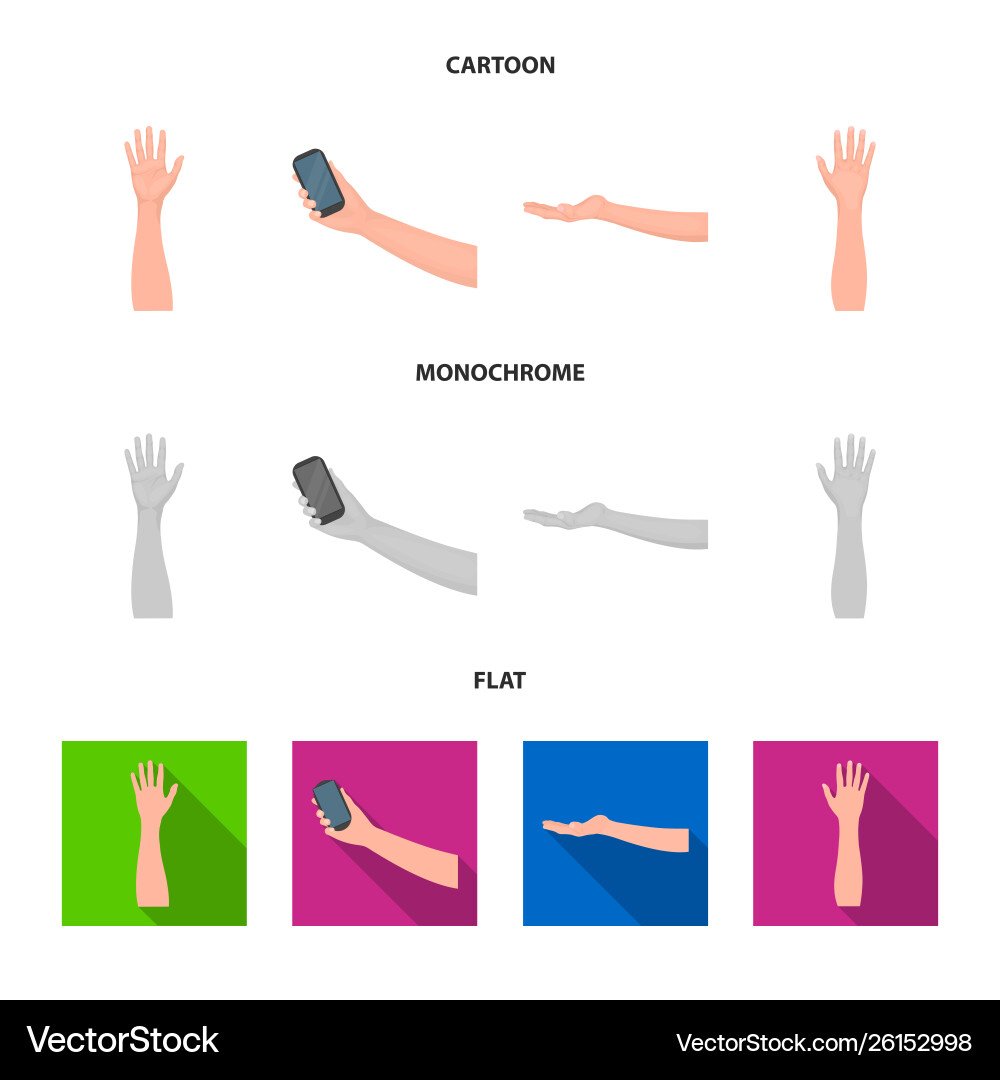 Isolated object and animated symbol set vector image