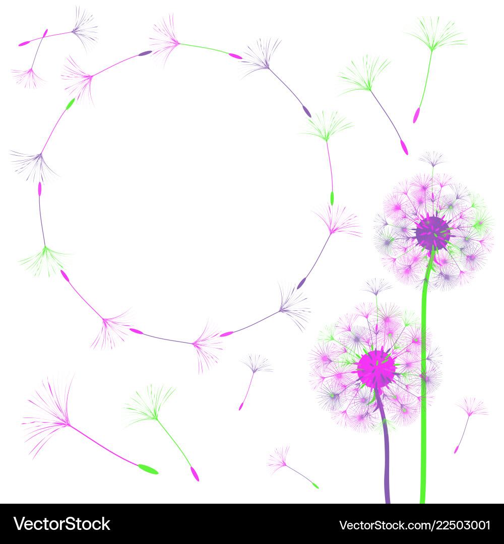 Abstract background of a dandelion for design vector image