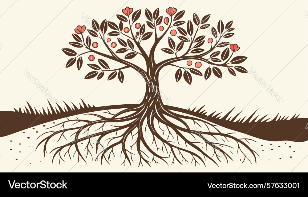 Ancient tree with exposed roots symbolizing Vector Image