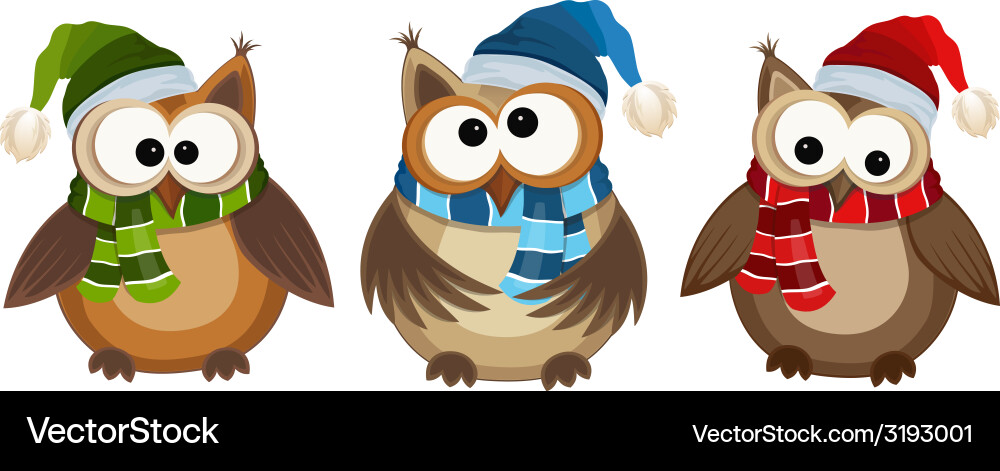 Funny owls Royalty Free Vector Image - VectorStock