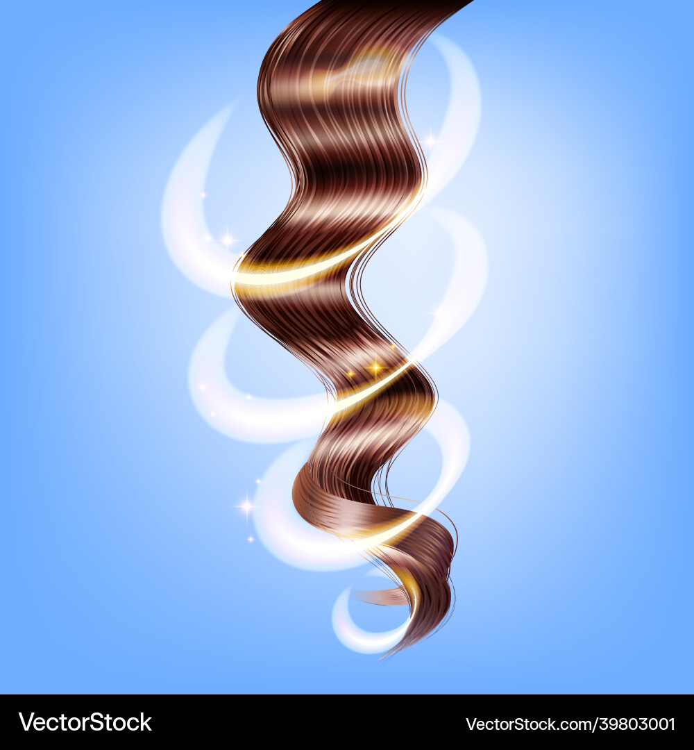 Realistic hair Royalty Free Vector Image - VectorStock