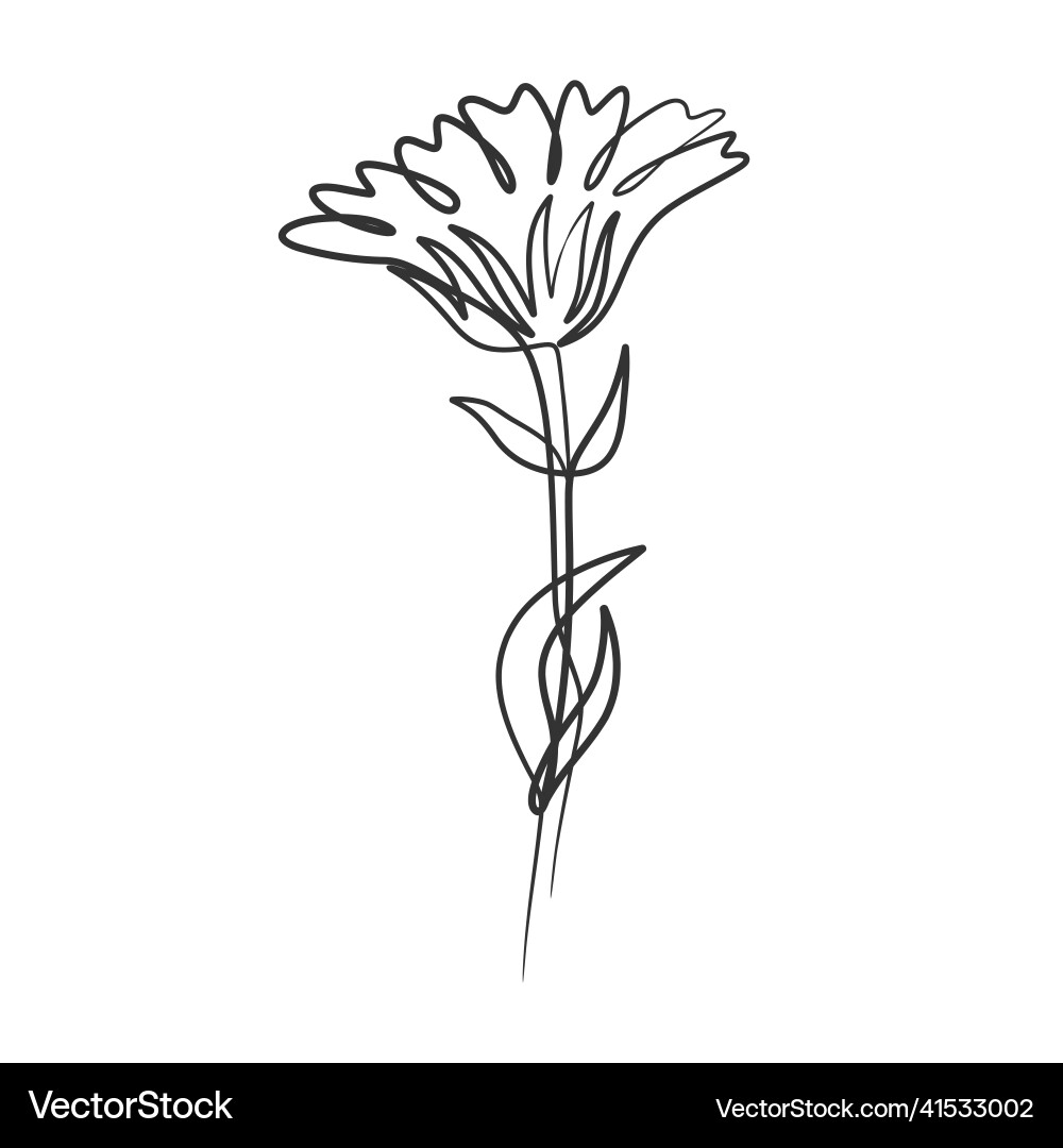 Continuous line drawing of simple flower Vector Image