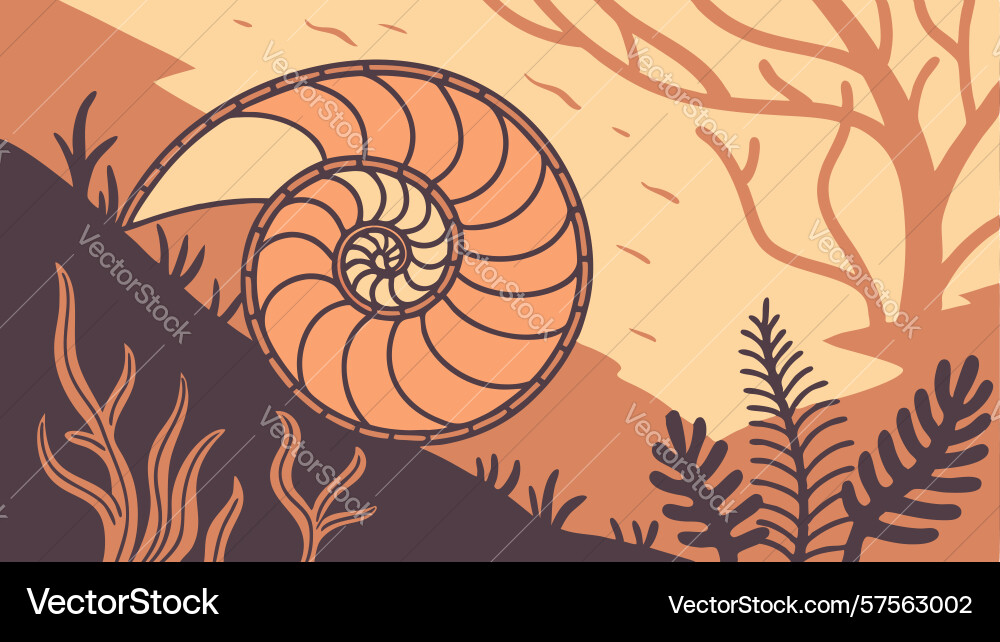 Nautilus shell in dark mysterious forest setting vector image