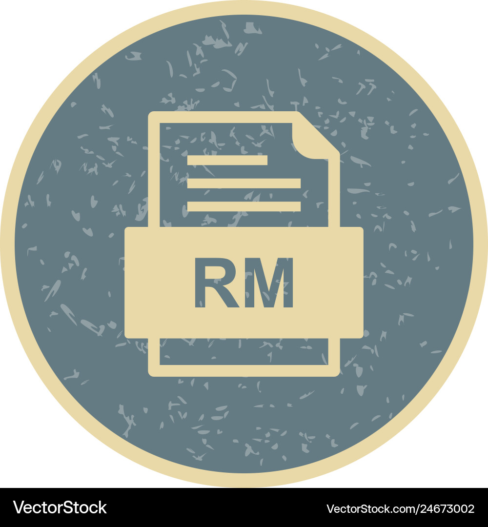 Rm file document icon Vector Image