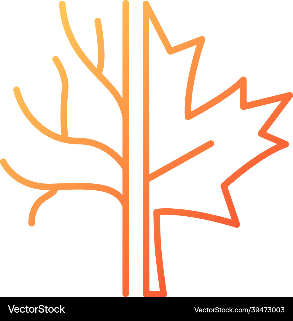 Maple tree gradient linear icon vector image