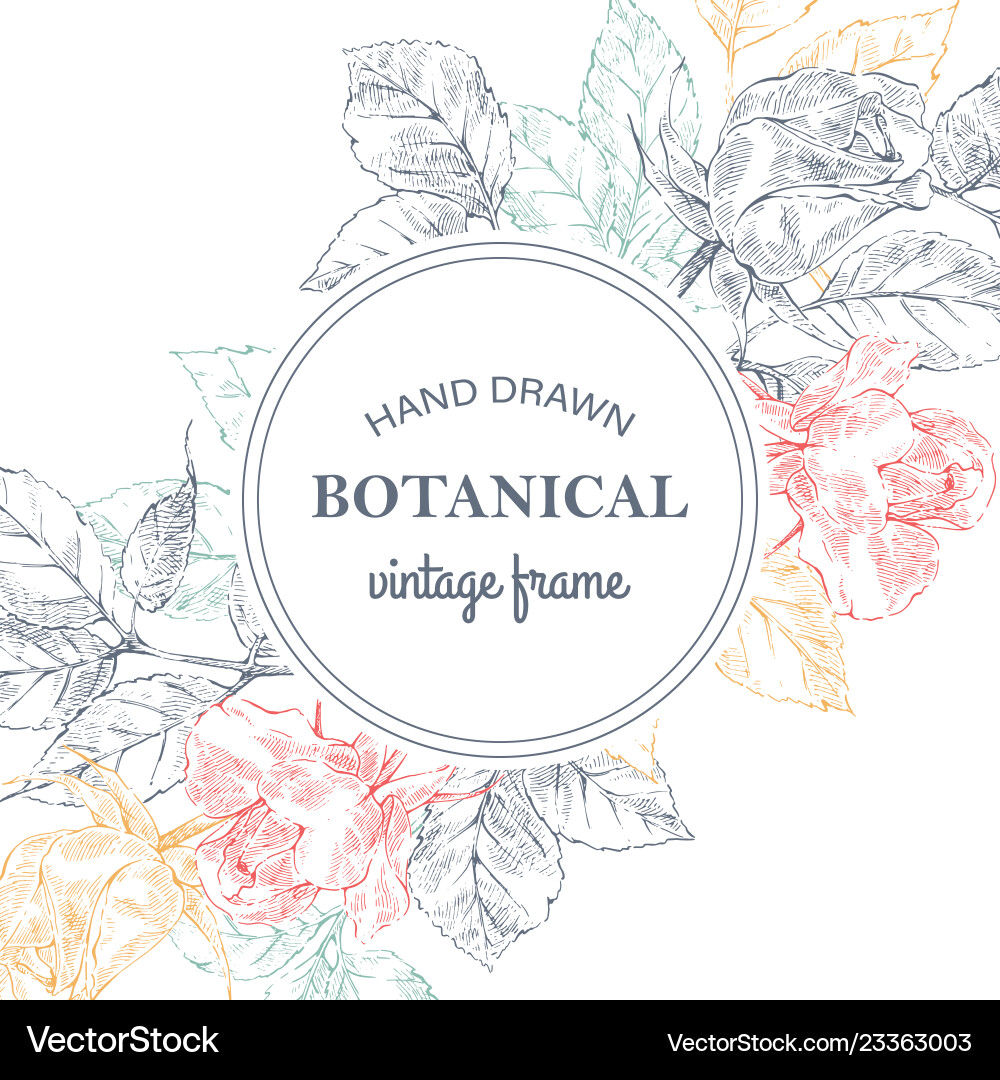 Roses vintage frame Royalty Free Vector Image - VectorStock
