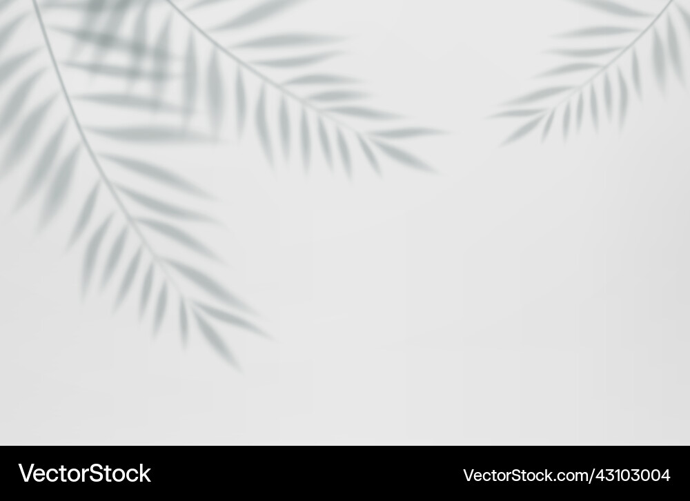 Empty studio abstract background Empty studio abstract background vector image