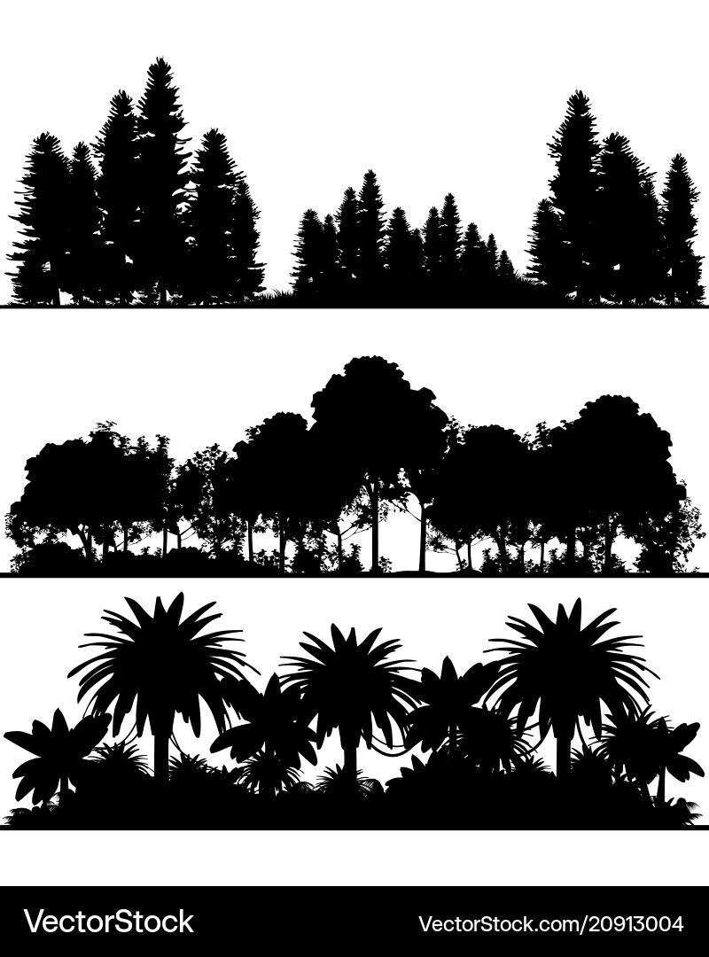 Forest Silhouettes Vector Image