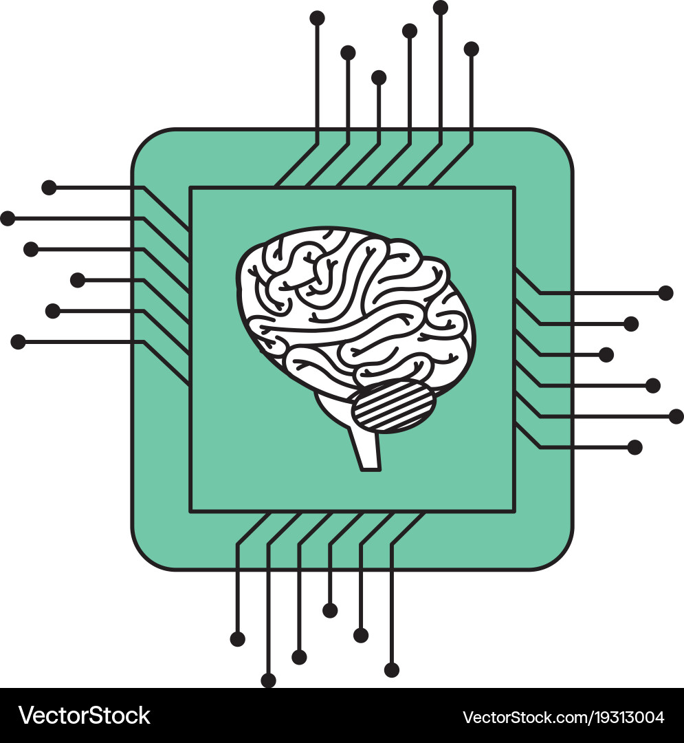 Processor circuit with brain vector image
