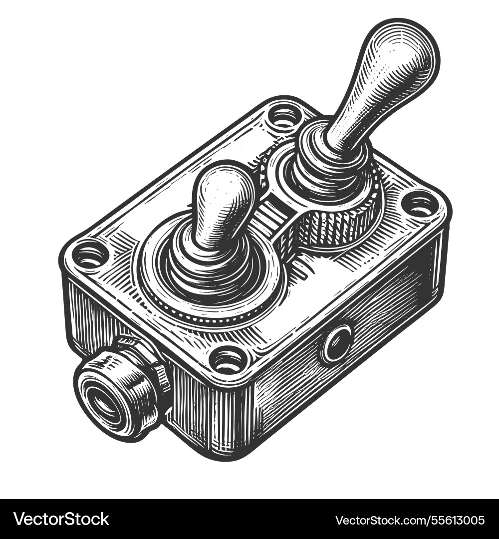 Double toggle switch Vector Image