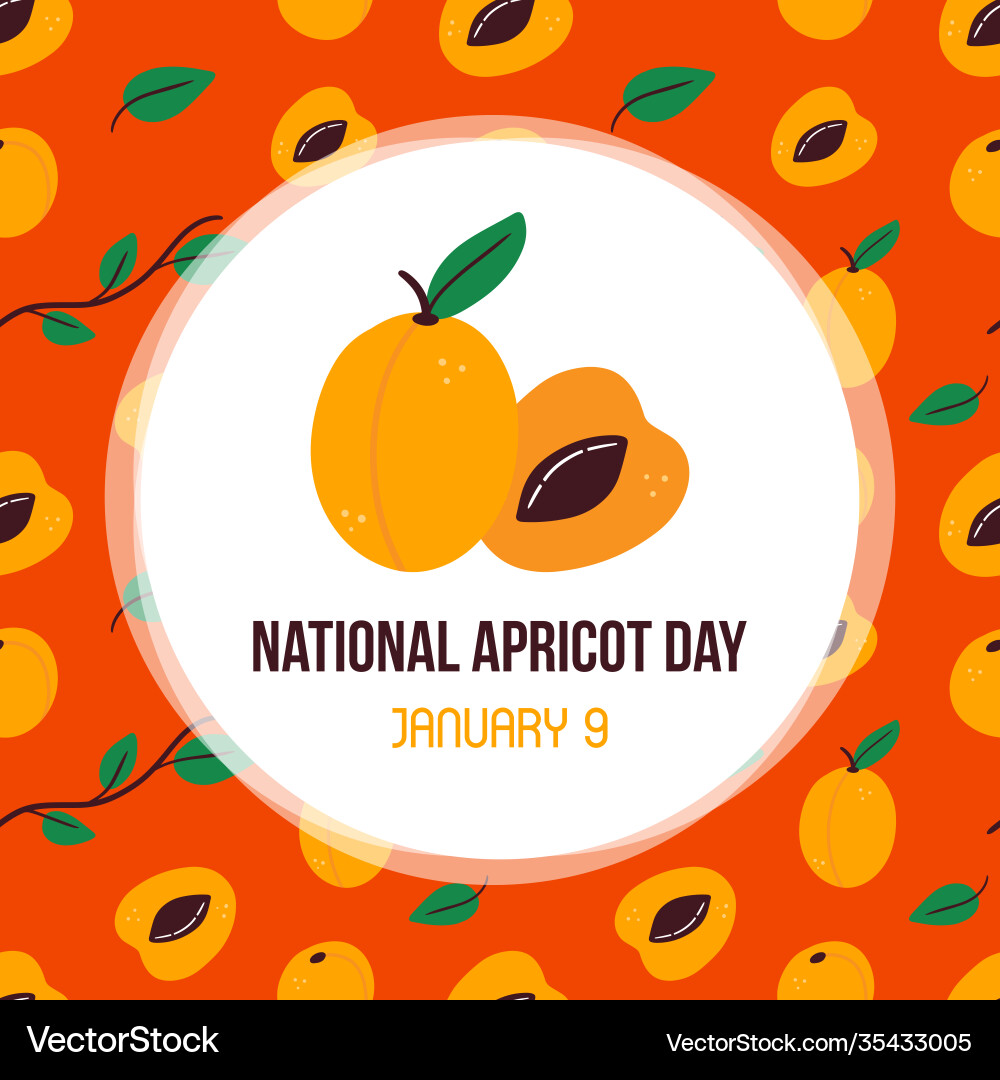 National apricot day card National apricot day card vector image