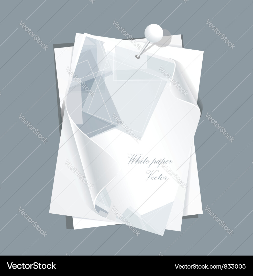 Paper and pattern Vector Image