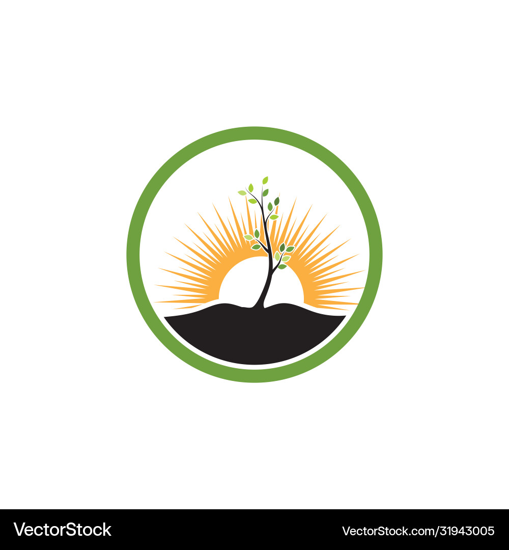 Tree branch design vector image