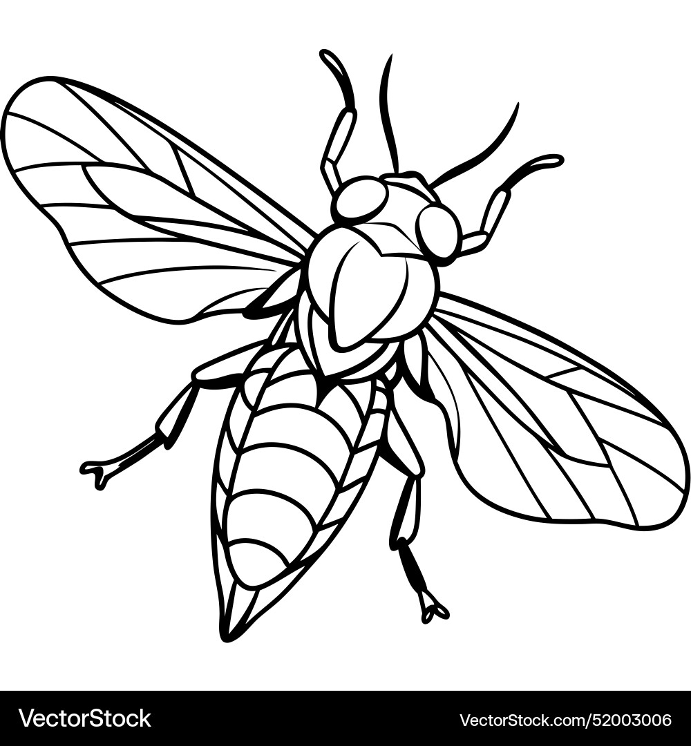 Common beetle bug play icon vector image