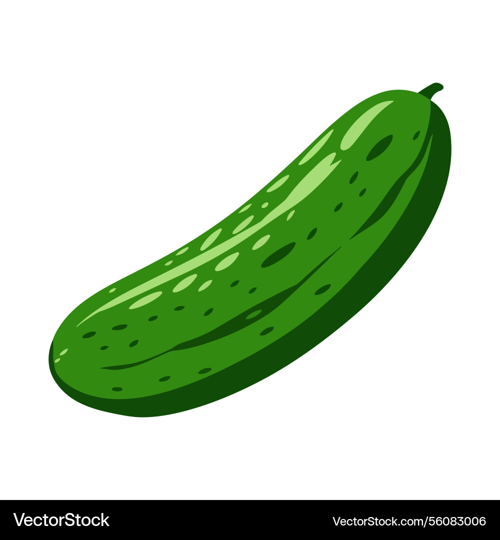 Pickled cucumber simple and isolated design Vector Image
