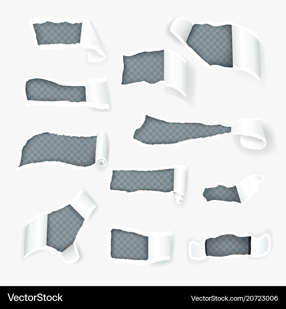 Torn paper curls realistic set Torn paper curls realistic set vector image