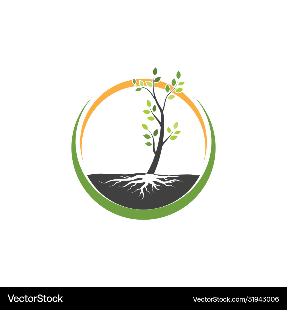 Tree branch design Tree branch design vector image