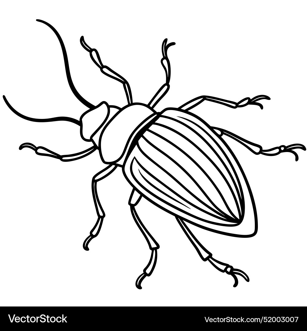 Common beetle bug runs icon vector image
