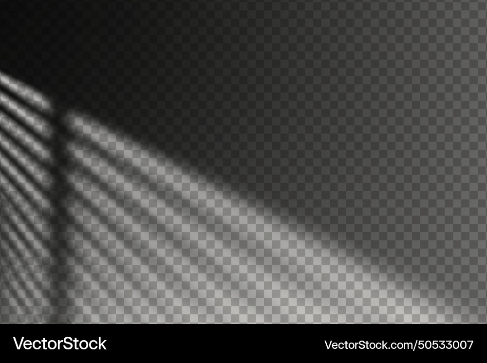 Light effect shadow overlay from window isolated vector image