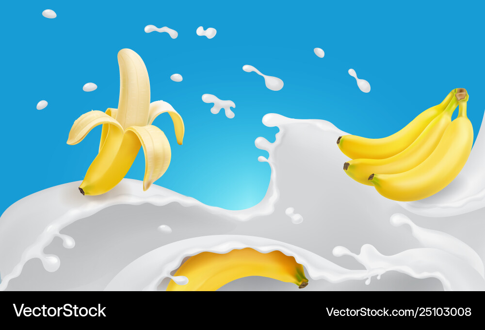 Banana and flavored milk splash or yogurt Banana and flavored milk splash or yogurt vector image
