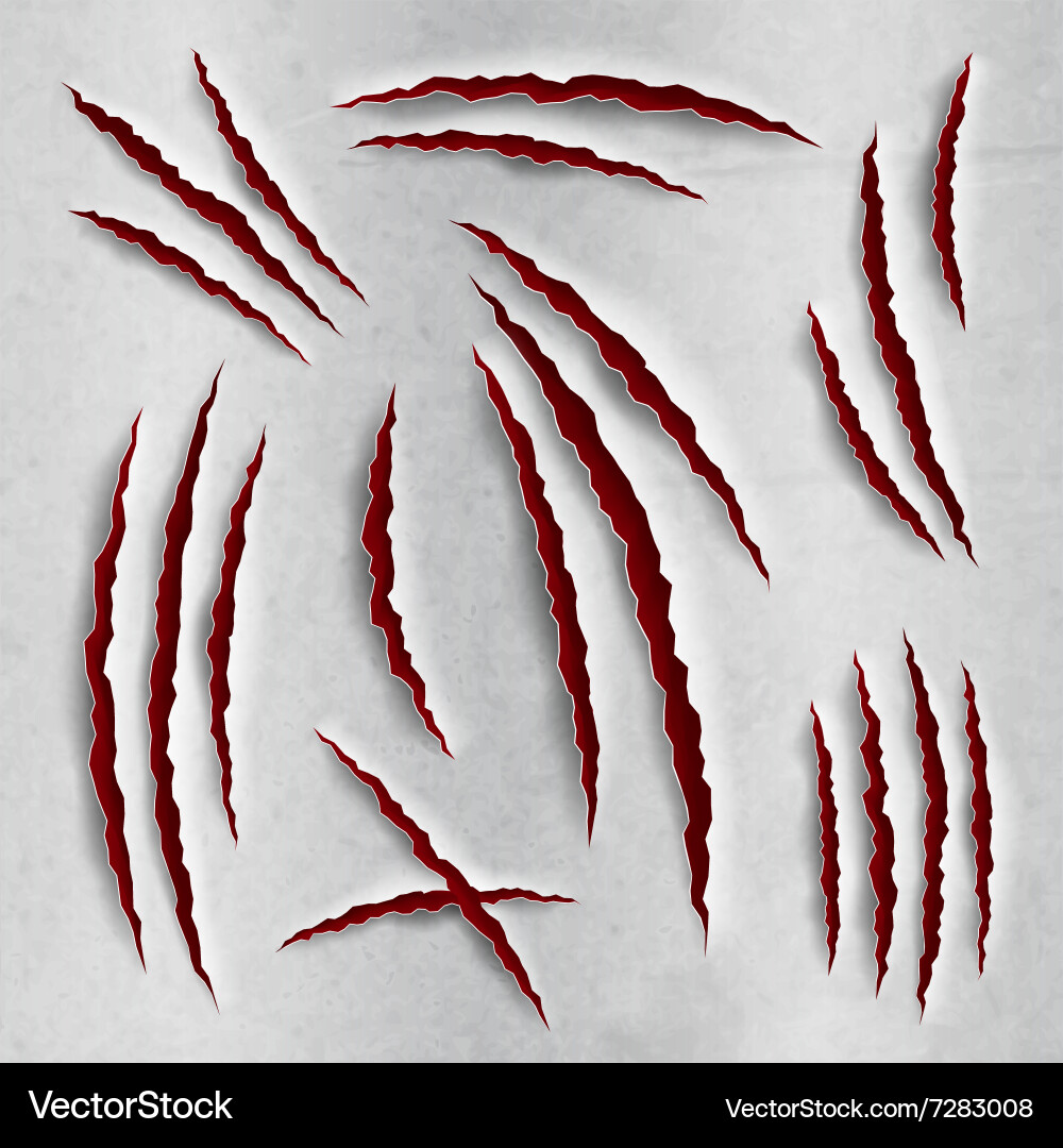 Cat Scratch Marks vector image