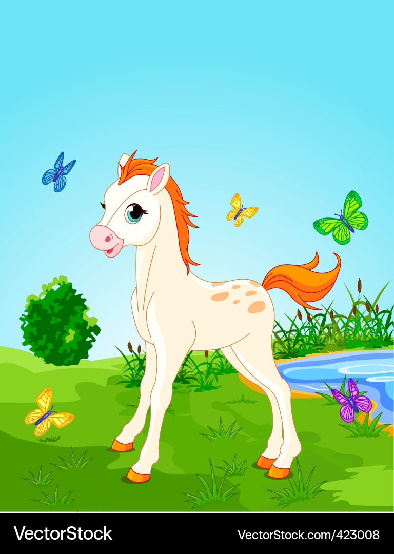 Cute Foal in Meadow Vector Image