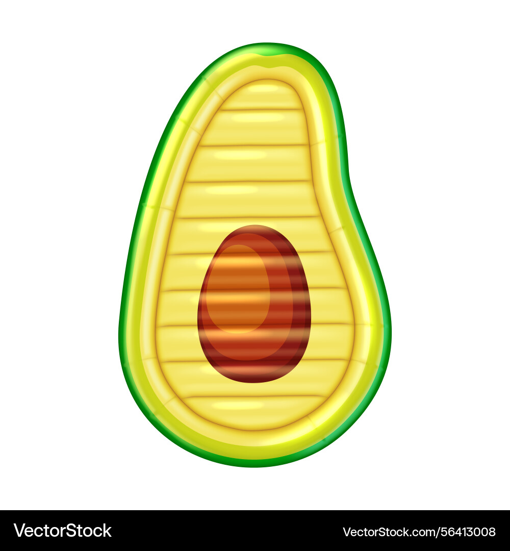 Inflatable float in avocado shape for pool fun Inflatable float in avocado shape for pool fun vector image