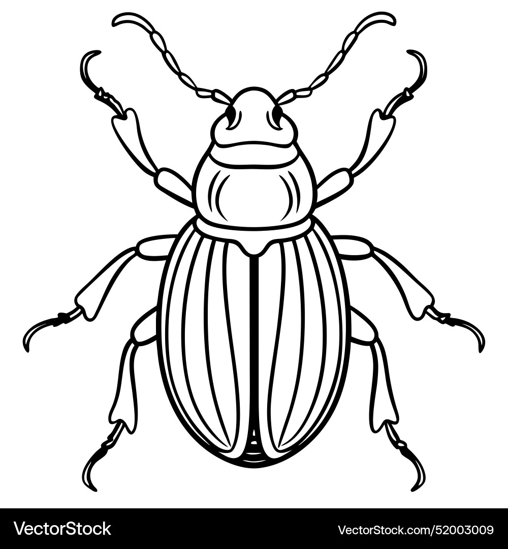 Common beetle bug sits icon vector image