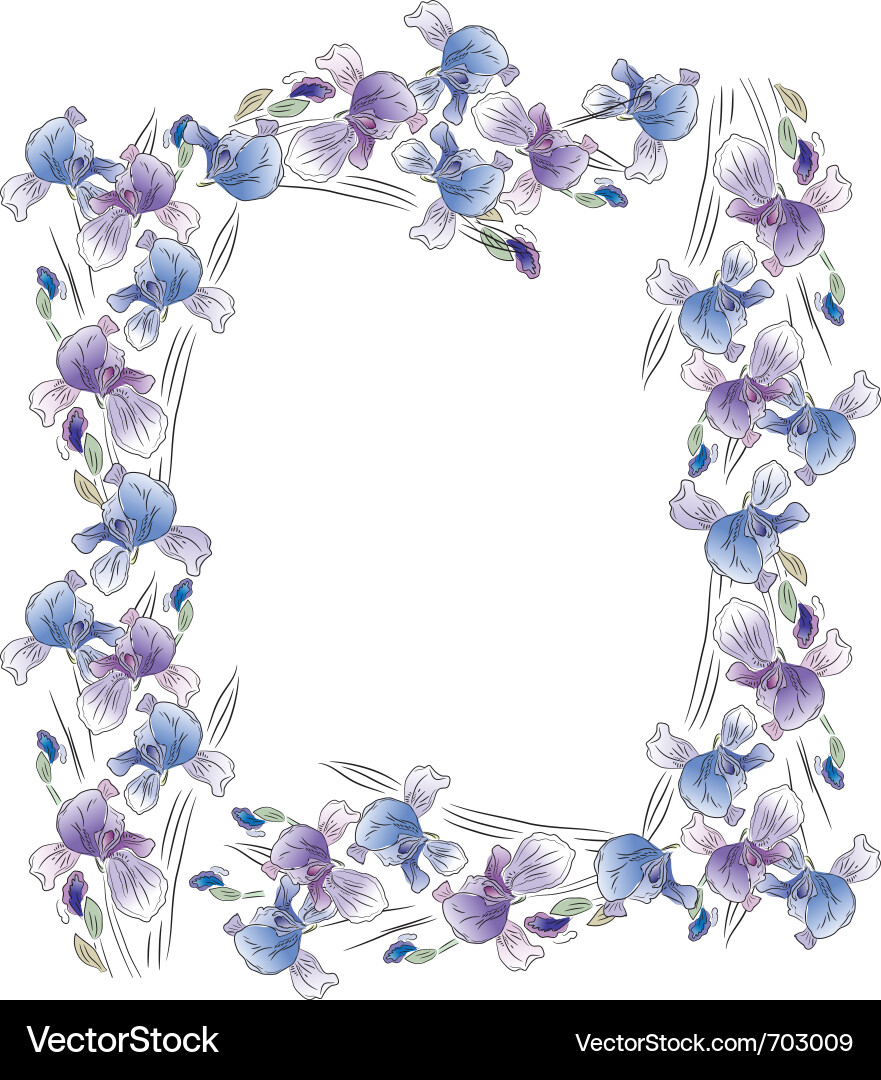 Frame with irises Vector Image