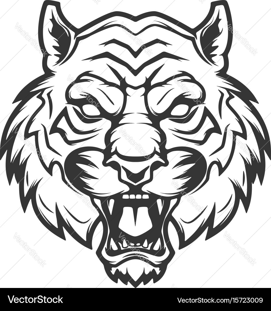 Isolated Tiger Head - Fierce & Powerful Vector Image