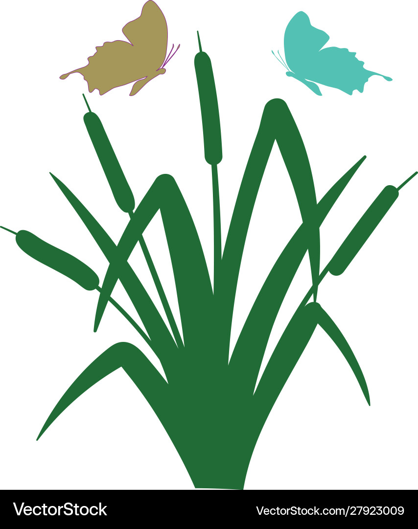 Print Vector Image