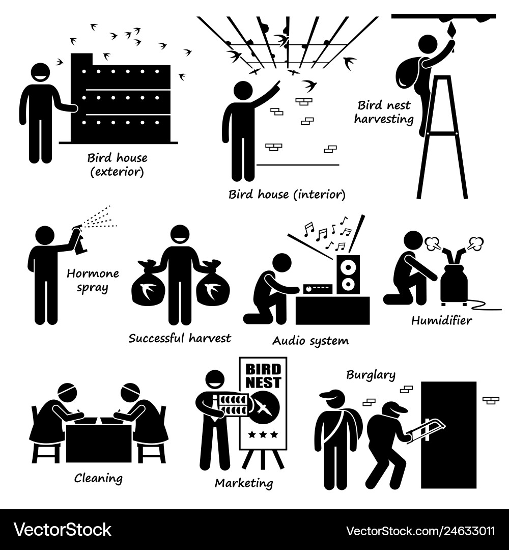 Swiftlet Farming Icon Set vector image