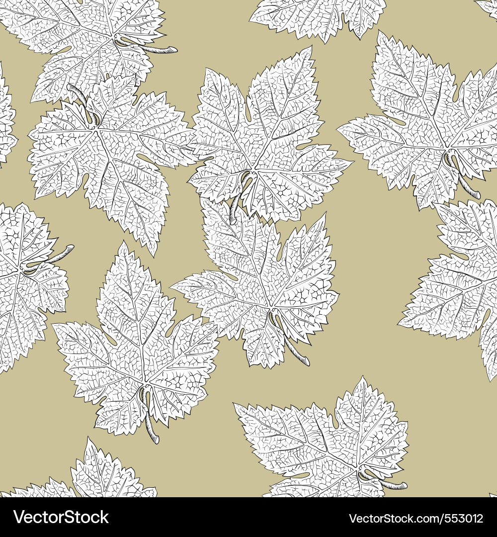 Elegant Grape Leaf Pattern vector image