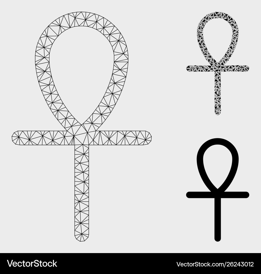 Life key mesh wire frame model and triangle Life key mesh wire frame model and triangle vector image
