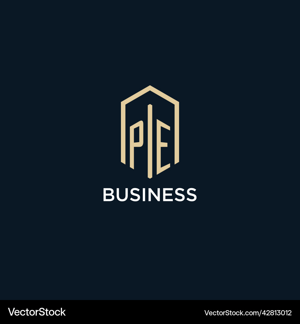 Pe initial monogram logo with hexagonal shape Pe initial monogram logo with hexagonal shape Vector Image