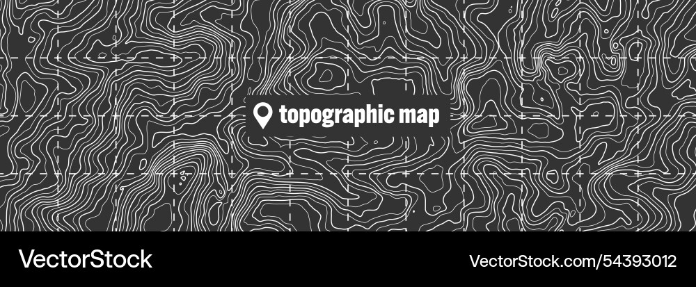 Topographic map with contour lines geographic Topographic map with contour lines geographic vector image