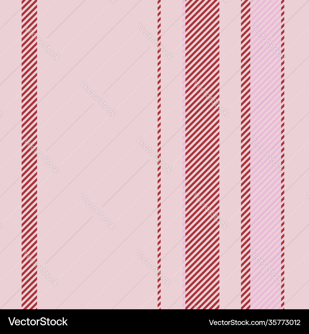 Vertical Stripe Pattern vector image
