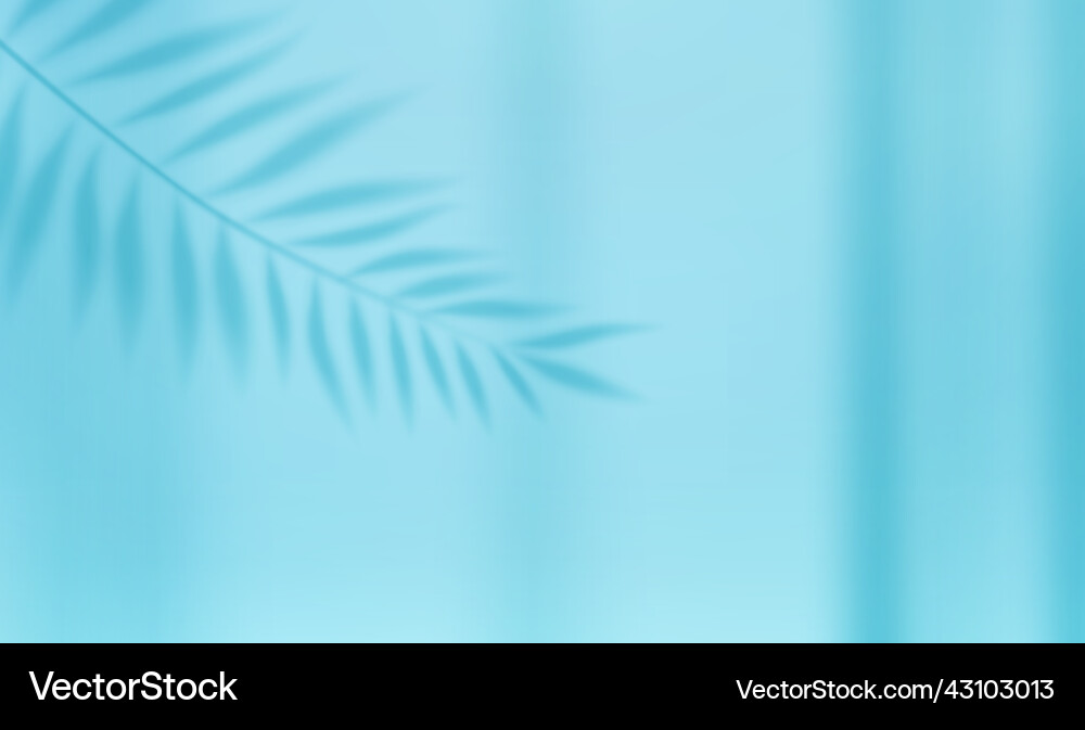 Empty studio abstract background Empty studio abstract background vector image