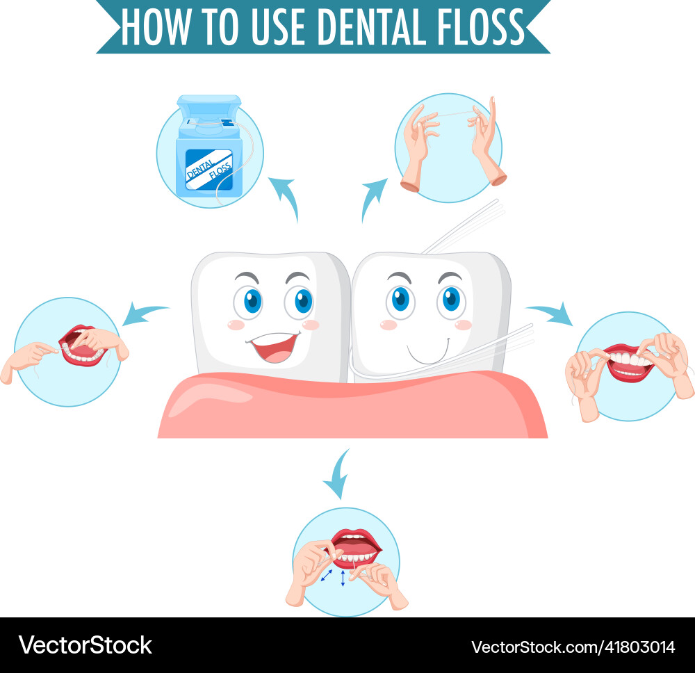 Clean tooth and process of flossing on white Clean tooth and process of flossing on white vector image