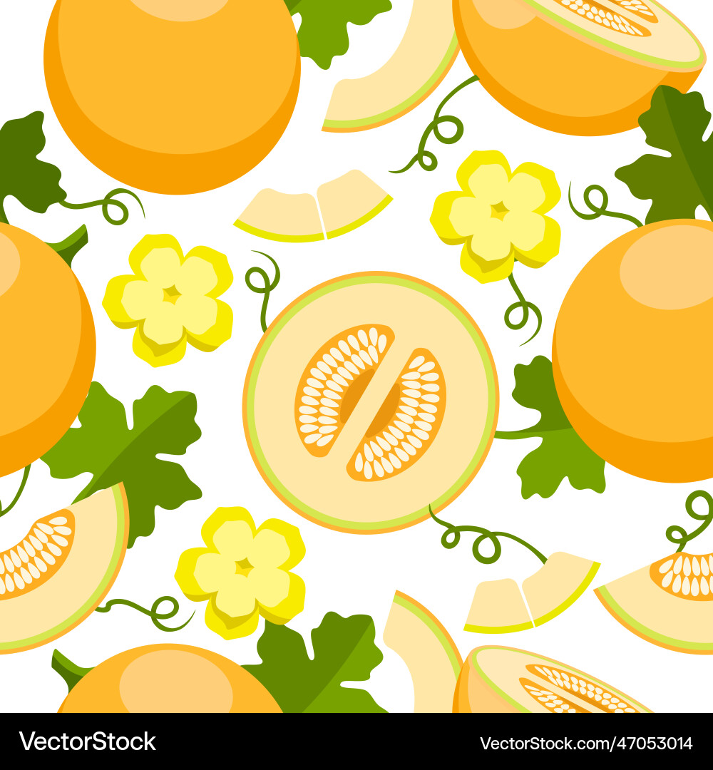 Melon Slice Pattern Vector Image