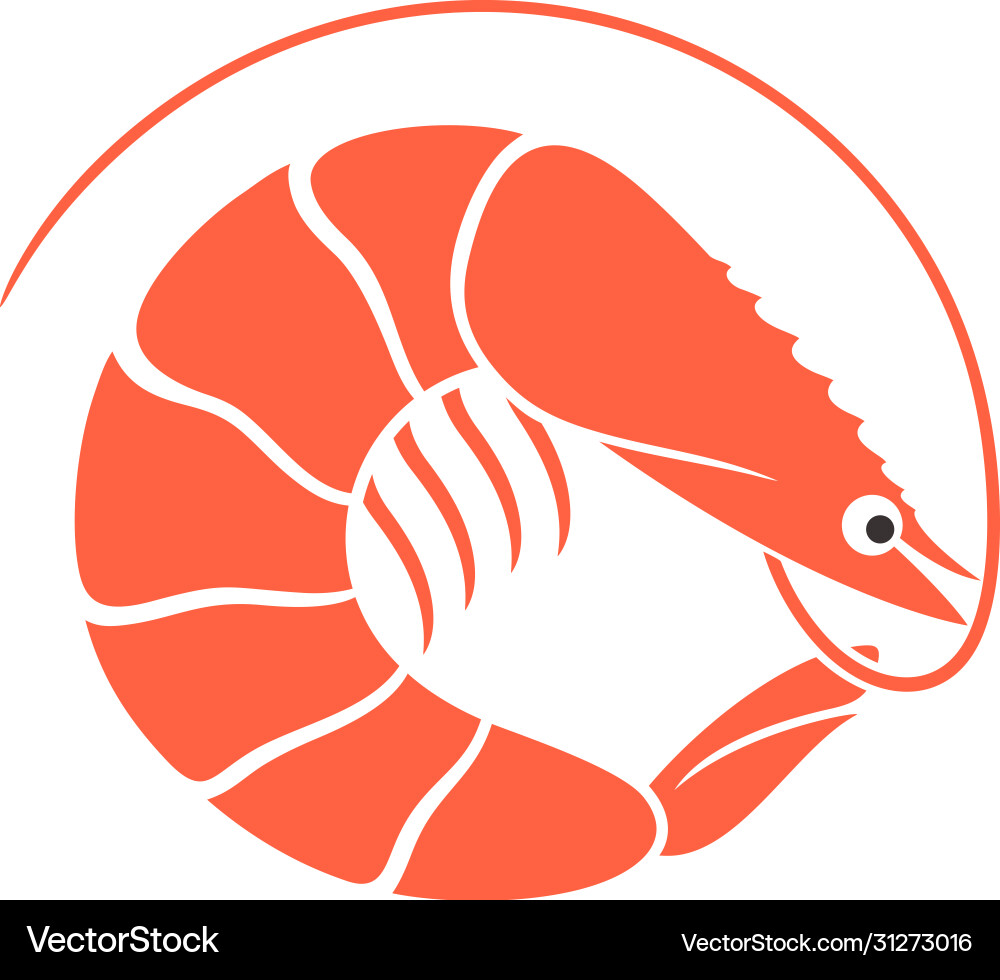 Shrimp vector image