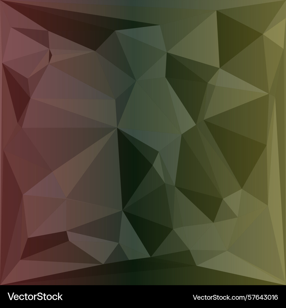 Triangular low poly background style Vector Image