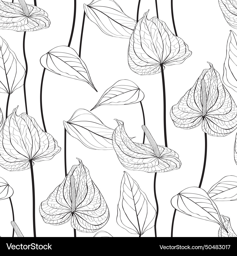 Anthurium seamless floral pattern with line flowe Vector Image