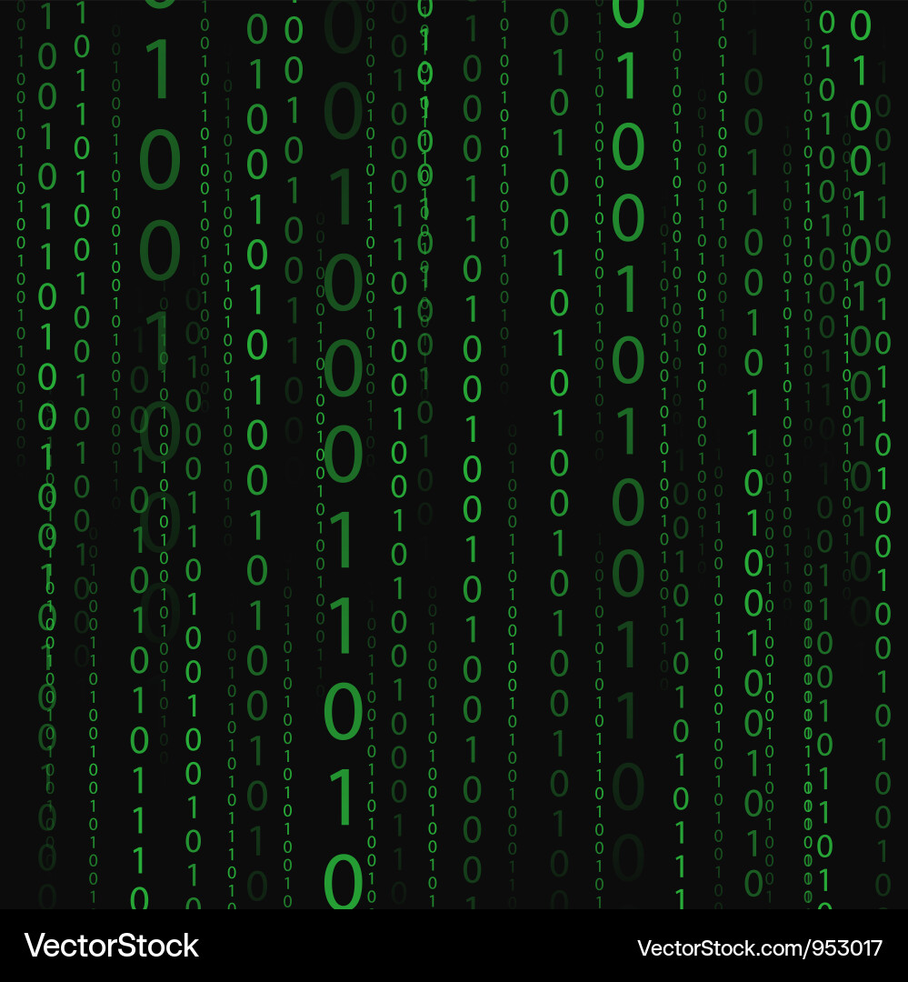 Binary Code Digital Matrix vector image