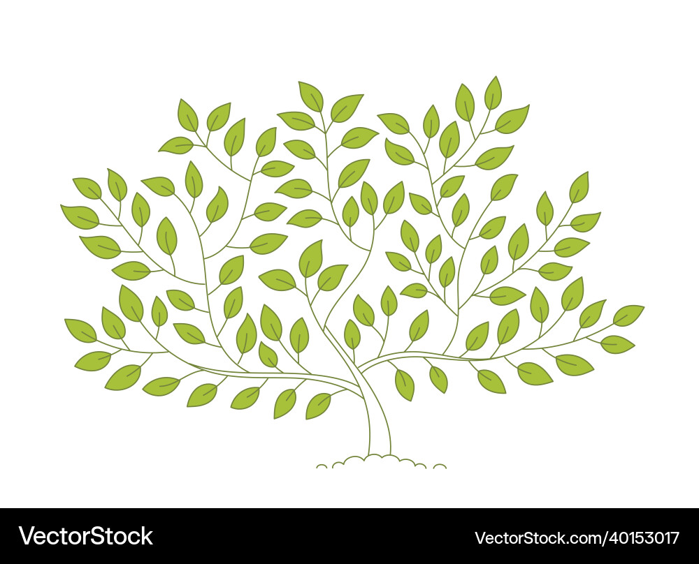 Green tree open paths editable stroke custom Vector Image