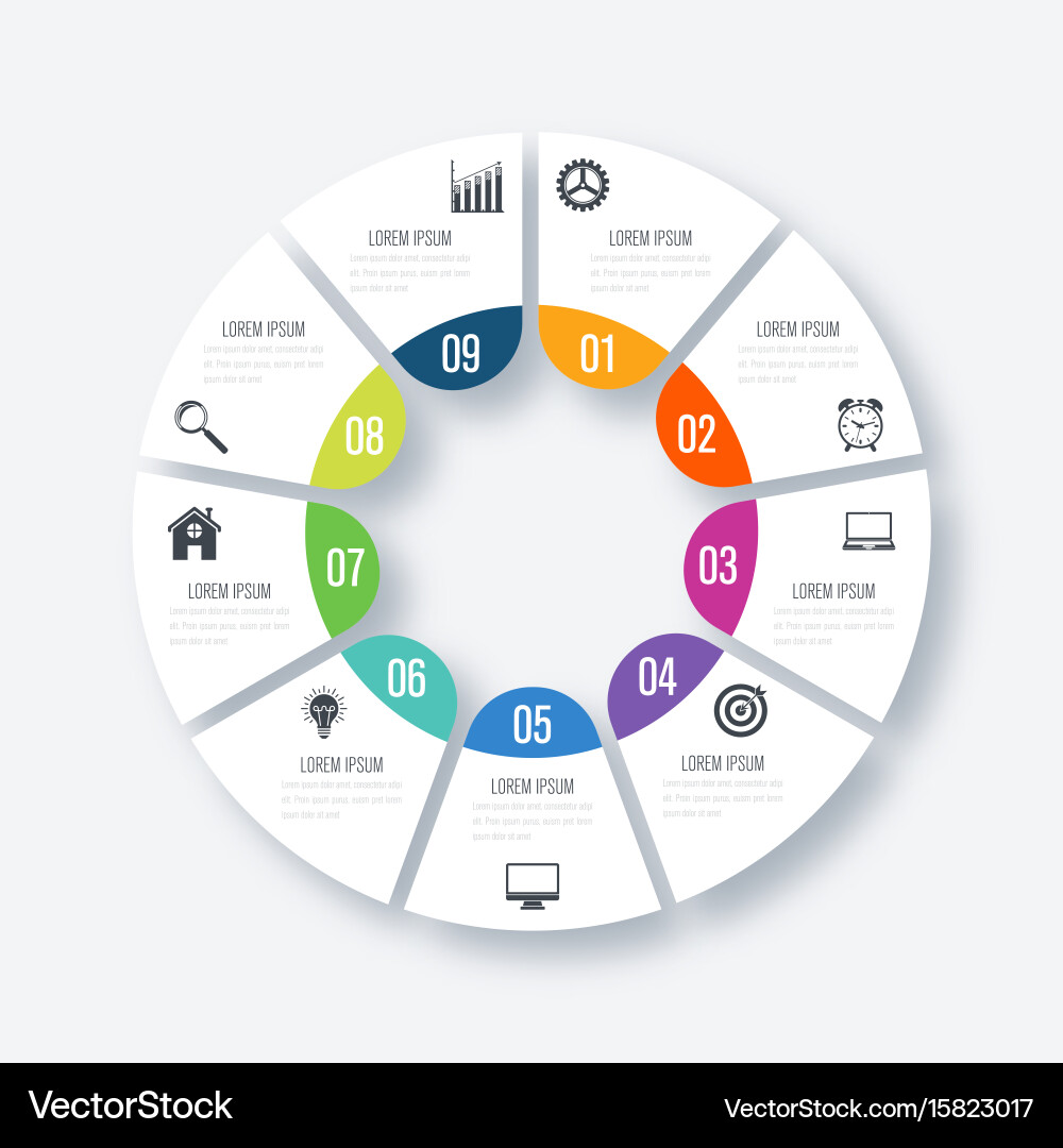 Infographic Layout with Circular Elements vector image