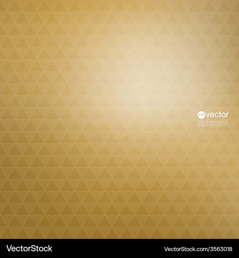 Abstract background with triangles and pattern vector image